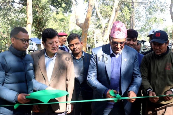 चितवनबाट बाघ गणना सुरु